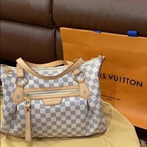 Louis Vuitton 100% authentic Damier Evora tote